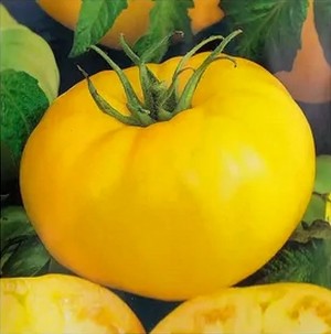 Томат Лимонный король 20 гр