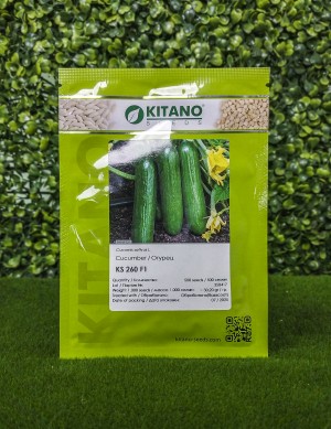 Огурец KS 260 F1 50 семян