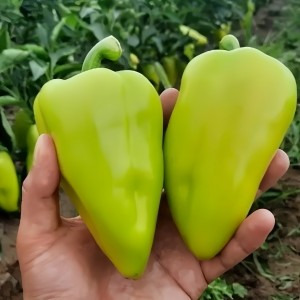 Перец сладкий Амаретта F1 25 семян