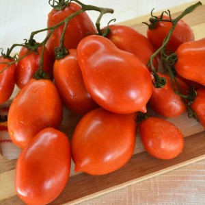 Томат Ракета 20 гр.